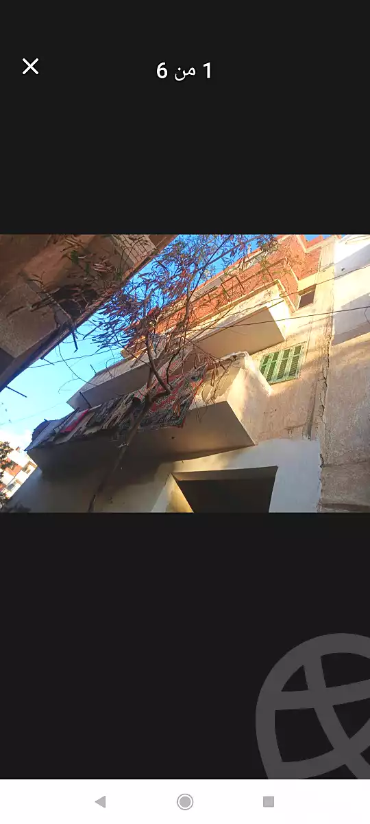 https://aqarmap.com.eg/ar/listing/6825728-for-sale-alexandria-l-jmy-lbytsh-el-hay-st