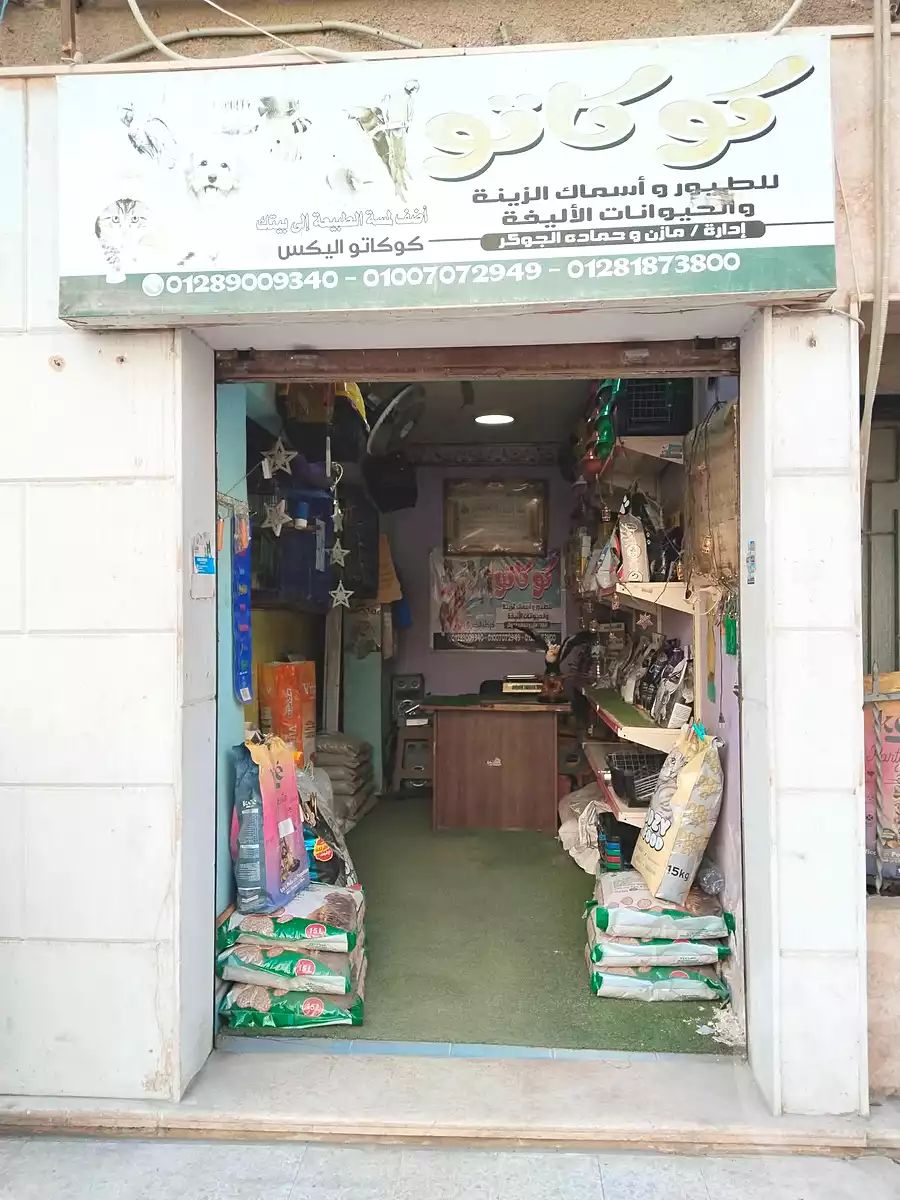 https://aqarmap.com.eg/en/listing/6826447-for-sale-alexandria-lsywf-shamaa