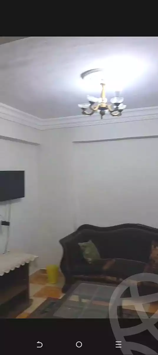 https://aqarmap.com.eg/en/listing/6829843-for-sale-alexandria-miami-mahmoud-el-isawy-st