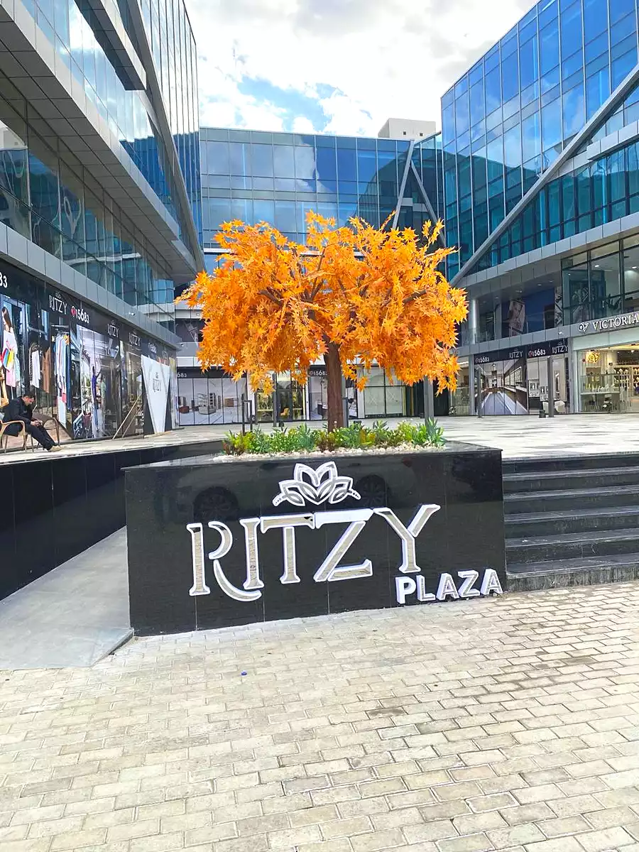 https://aqarmap.com.eg/ar/listing/6831188-for-sale-cairo-el-sheikh-zayed-city-compounds-rytzy-blz-mwl-tybh-llstthmr-l-qry
