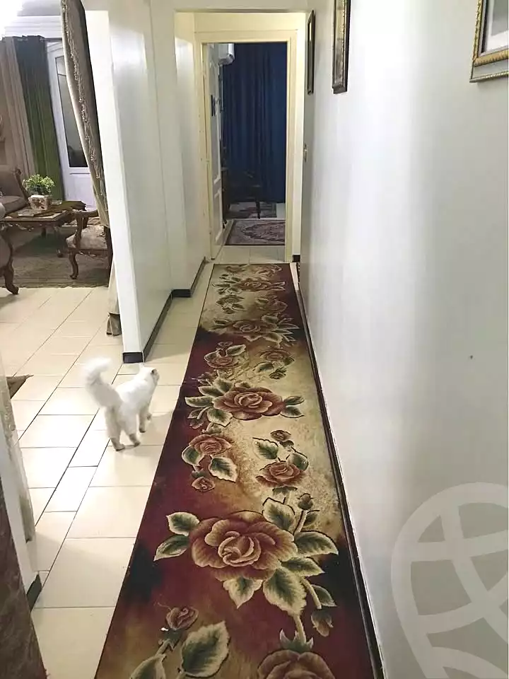 https://aqarmap.com.eg/en/listing/6831767-for-sale-alexandria-lsywf-gamila-abu-herid-st