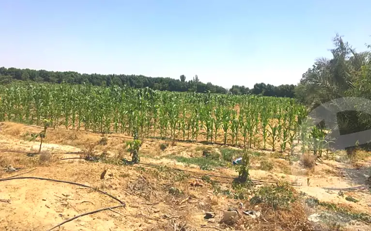 https://aqarmap.com.eg/en/listing/6836412-for-sale-beheira-wadi-el-natrun