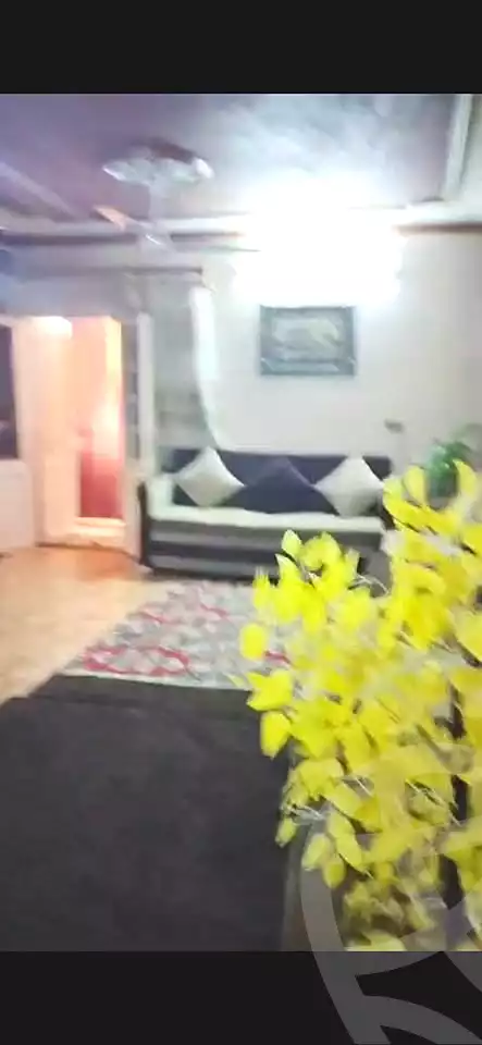 https://aqarmap.com.eg/ar/listing/6834096-for-sale-cairo-ain-shams-ain-shams-el-sharkia
