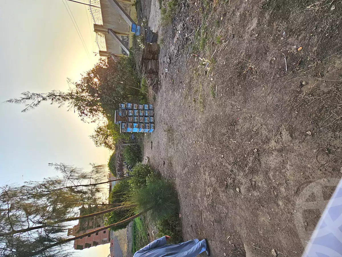 https://aqarmap.com.eg/en/listing/6839244-for-sale-gharbia-samannoud-qaret-abou-siir-bana