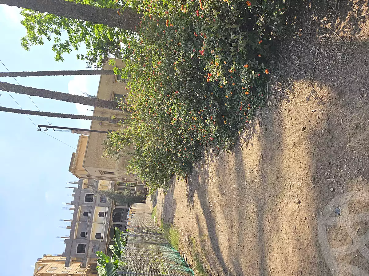https://aqarmap.com.eg/en/listing/6839244-for-sale-gharbia-samannoud-qaret-abou-siir-bana