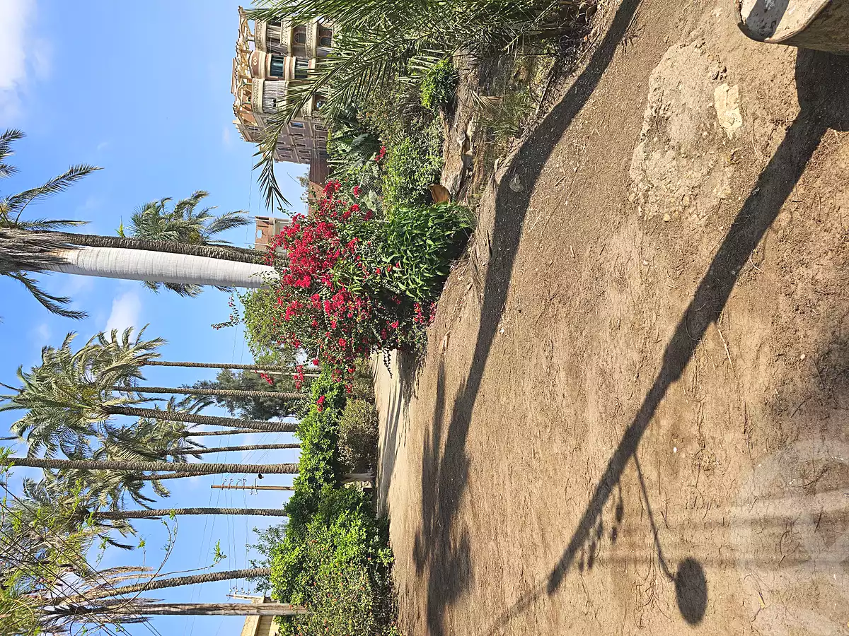 https://aqarmap.com.eg/en/listing/6839244-for-sale-gharbia-samannoud-qaret-abou-siir-bana