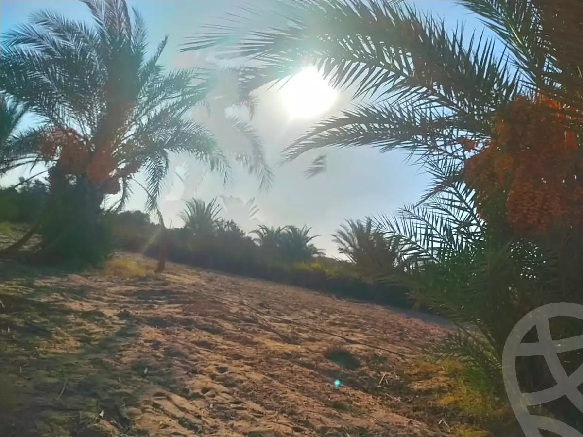 https://aqarmap.com.eg/ar/listing/6839721-for-sale-cairo-el-sheikh-zayed-city-alex-cairo-desert-road-mdyn-sfnks-ljdyd-cascada