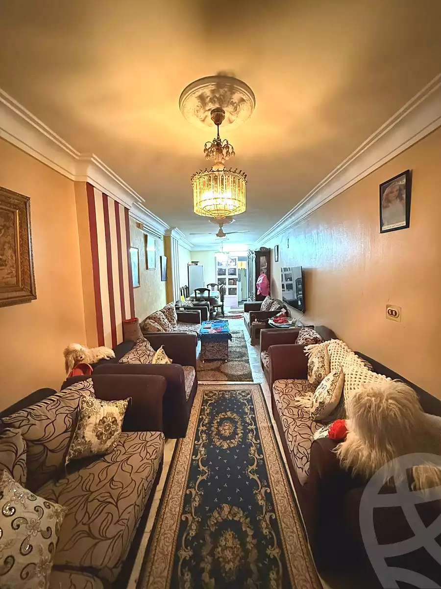 https://aqarmap.com.eg/ar/listing/6842656-for-sale-alexandria-el-asafra-ali-bahgat-al-deryni-st