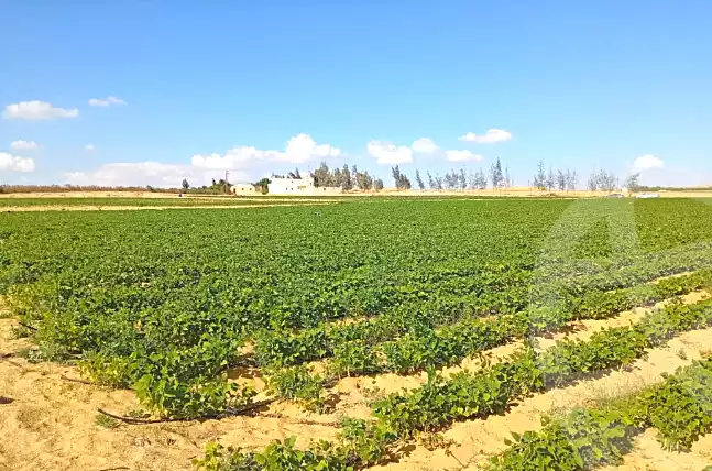 https://aqarmap.com.eg/ar/listing/6842714-for-sale-beheira-wadi-el-natrun