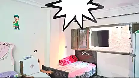 https://aqarmap.com.eg/en/listing/6843409-for-sale-cairo-el-agouza-ard-el-lewa
