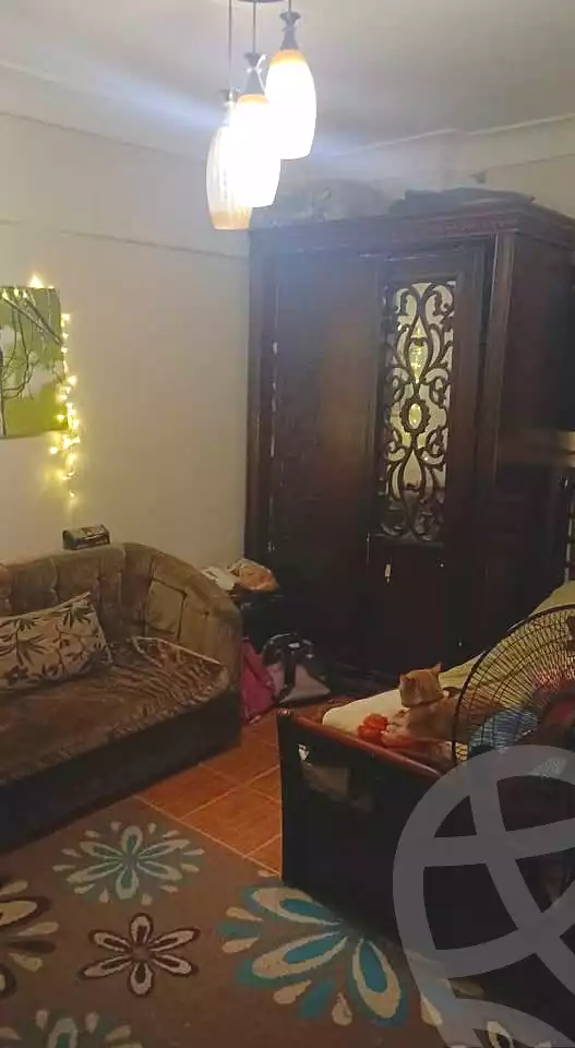 https://aqarmap.com.eg/ar/listing/6846383-for-sale-alexandria-el-mandara-alex-el-mandara-bahri