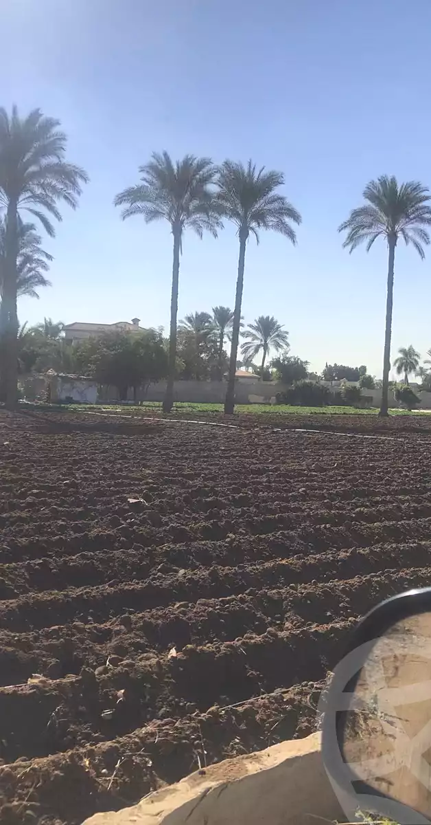 https://aqarmap.com.eg/en/listing/6846516-for-sale-cairo-el-mansuriyyah-el-saliba