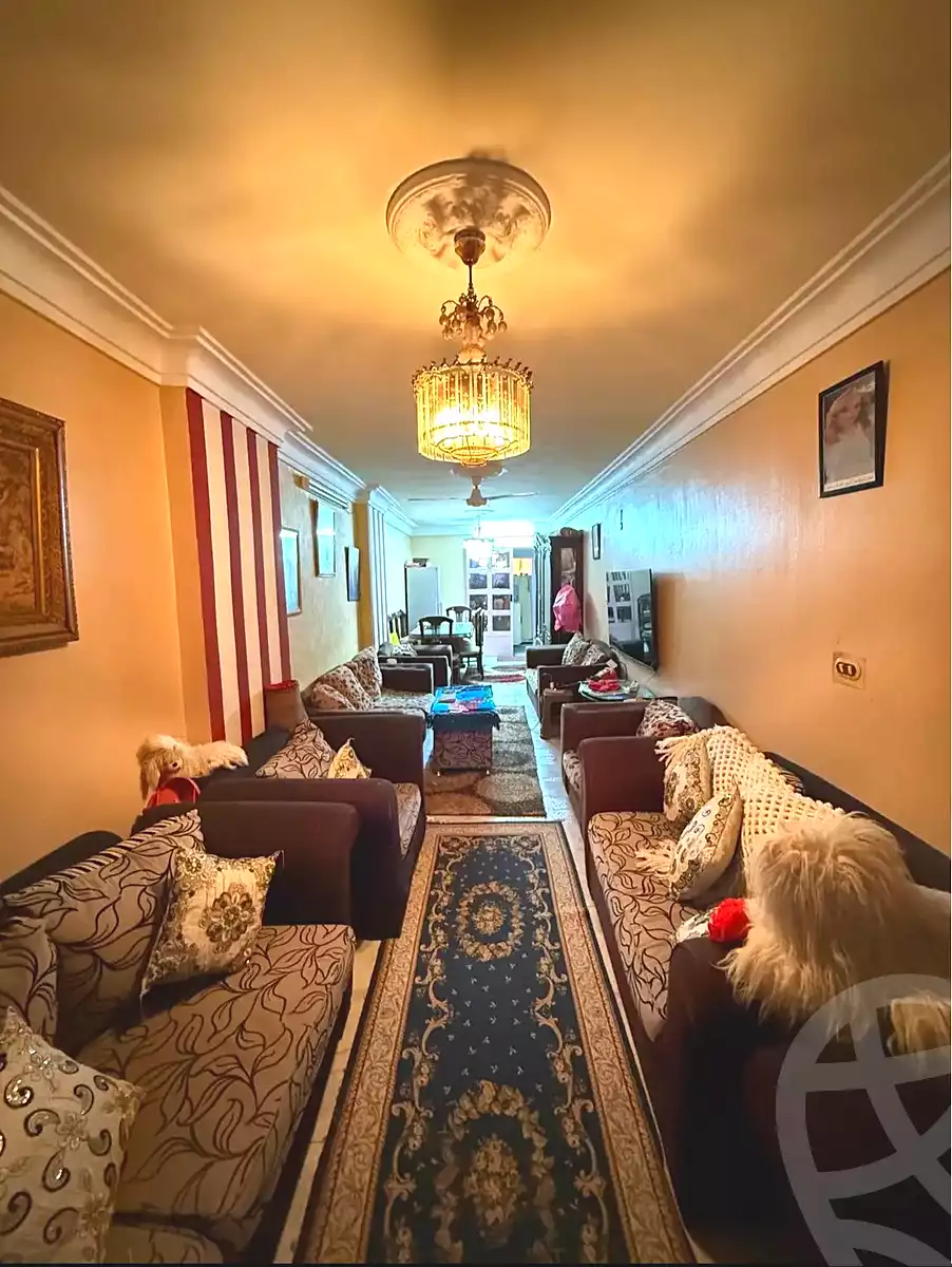 https://aqarmap.com.eg/en/listing/6846844-for-sale-alexandria-el-asafra-ali-bahgat-al-deryni-st