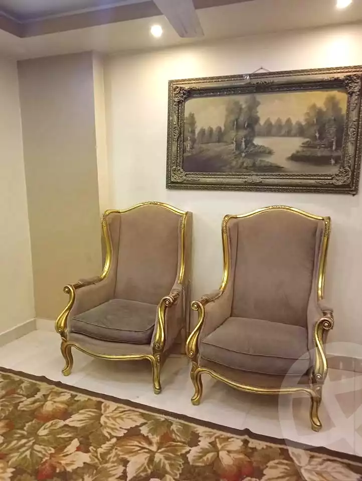 https://aqarmap.com.eg/en/listing/6847227-for-rent-cairo-faisal-el-maryotyah
