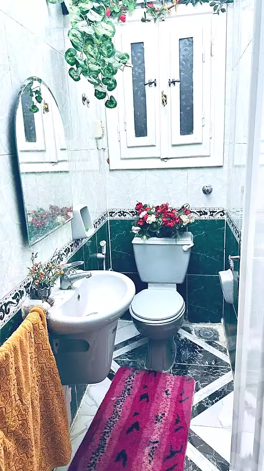 https://aqarmap.com.eg/en/listing/6850464-for-sale-alexandria-ganaklis