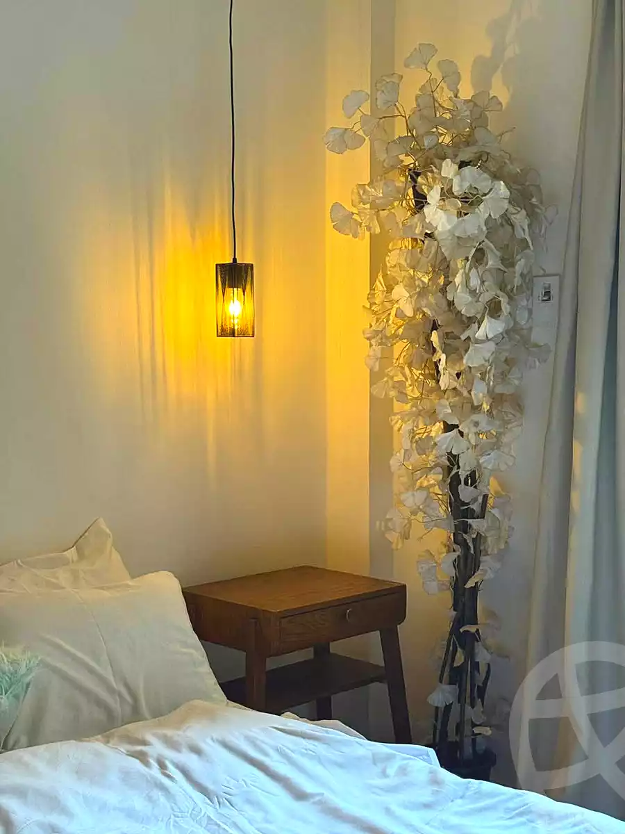 https://aqarmap.com.eg/en/listing/6850790-for-rent-cairo-al-zamalek-shr-sm-yl-mhmd