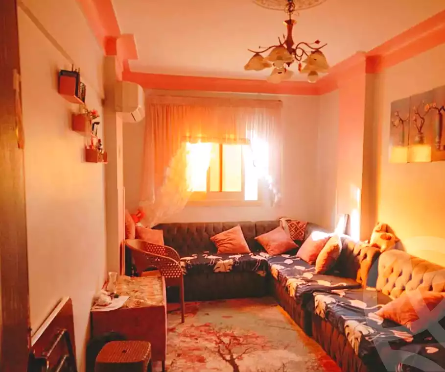 https://aqarmap.com.eg/en/listing/6851277-for-sale-alexandria-al-agamy-el-hanouvel-radwan-st