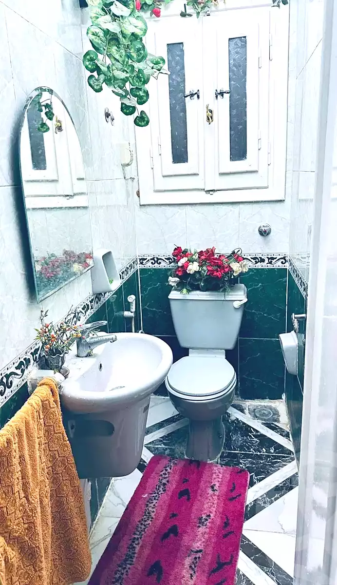 https://aqarmap.com.eg/en/listing/6851437-for-sale-alexandria-ganaklis