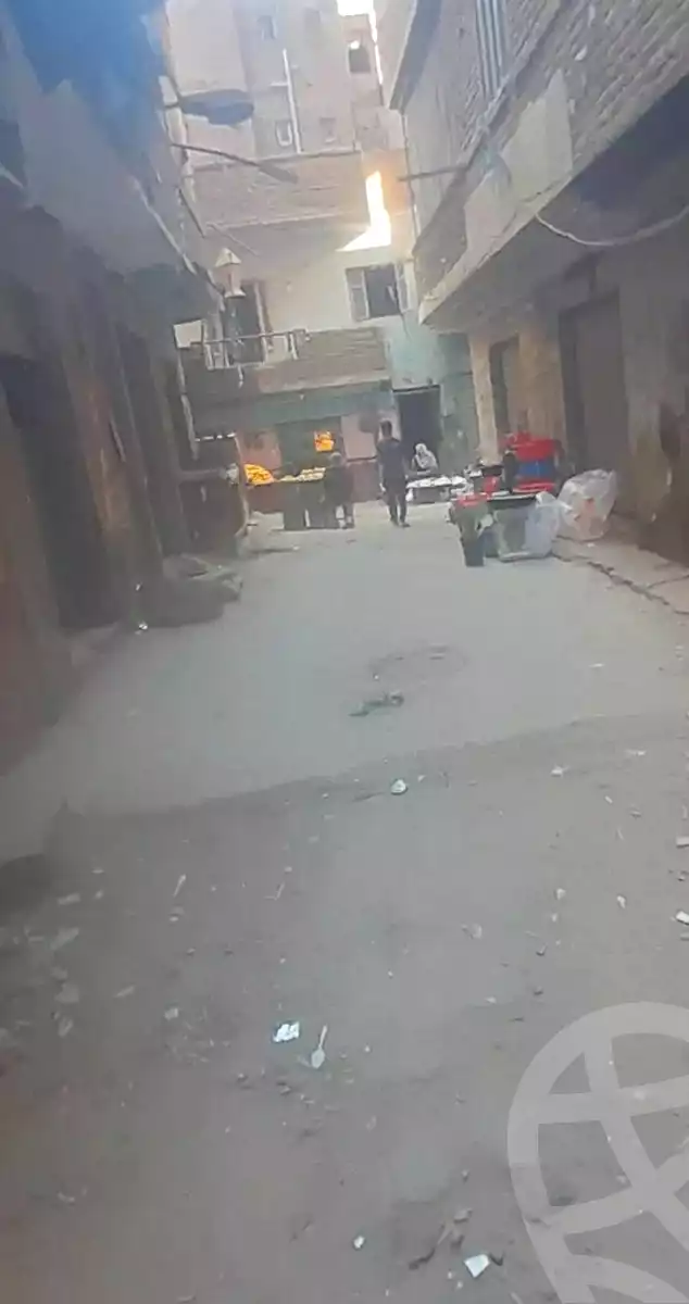 https://aqarmap.com.eg/en/listing/6856403-for-sale-cairo-ain-shams-yn-shms-lgrby