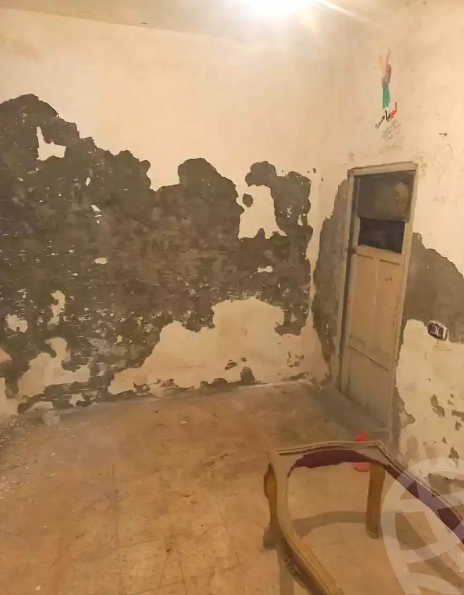 https://aqarmap.com.eg/en/listing/6857592-for-sale-alexandria-lsywf-shamaa-salah-el-din-ibrahem-st