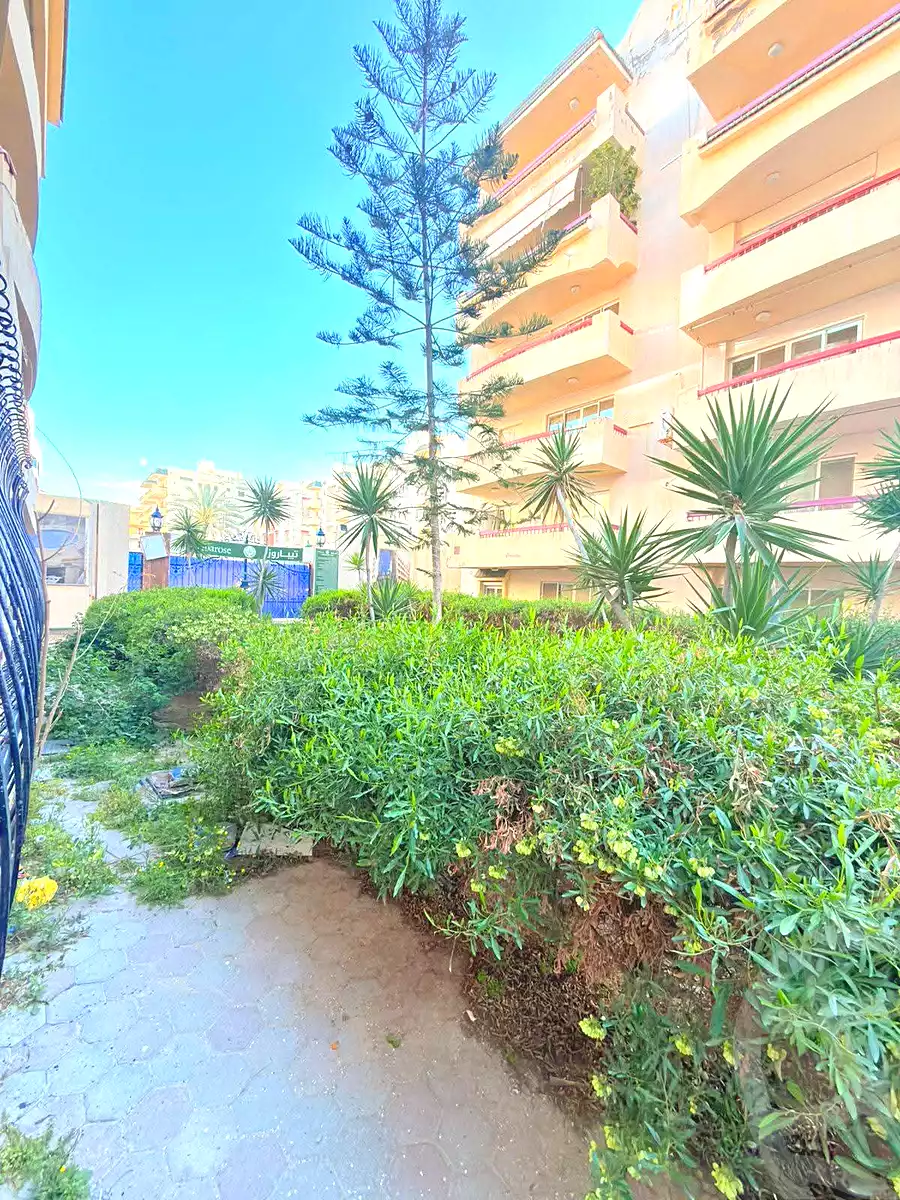 https://aqarmap.com.eg/en/listing/6859501-for-sale-alexandria-al-agamy-shataa-el-nakheel