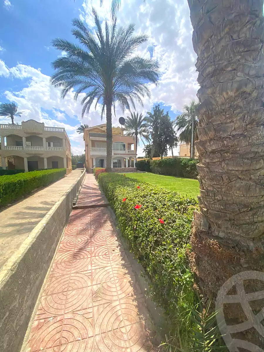 https://aqarmap.com.eg/ar/listing/6862890-for-sale-ismailia-fayed-al-sawhel-st