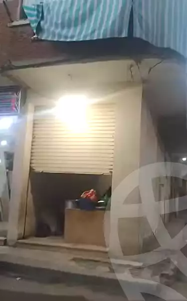 https://aqarmap.com.eg/ar/listing/6863672-for-sale-alexandria-al-agamy-lbytsh-bianchiii