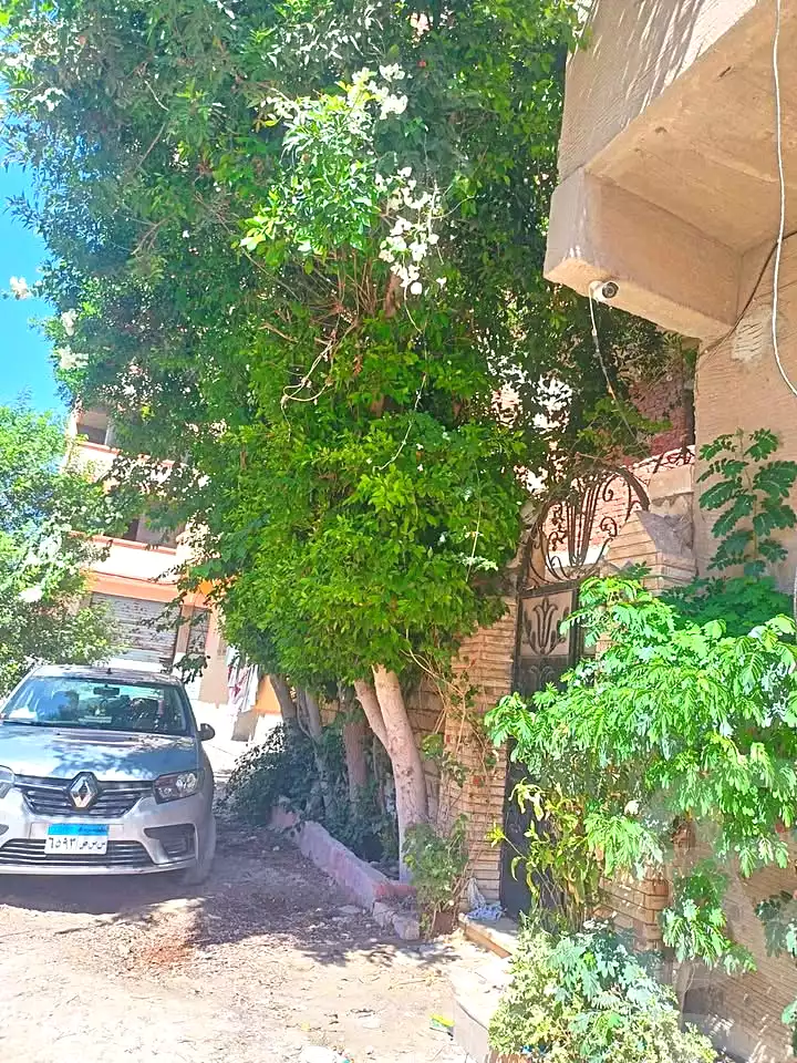 https://aqarmap.com.eg/ar/listing/6867773-for-rent-alexandria-al-agamy-el-hanouvel-al-haded-we-al-soulb-st