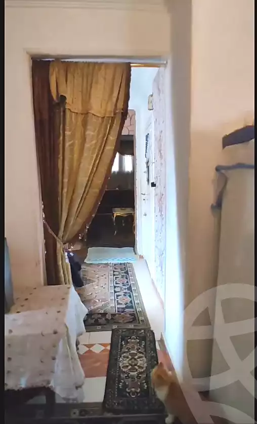 https://aqarmap.com.eg/en/listing/6871381-for-sale-alexandria-lsywf-el-falki