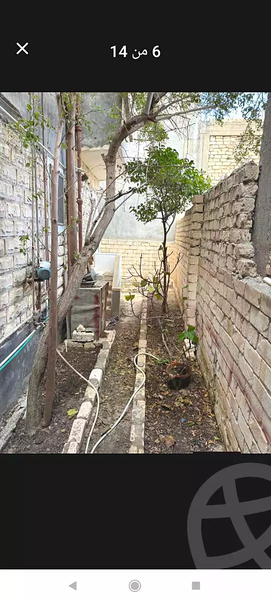 https://aqarmap.com.eg/en/listing/6871931-for-sale-alexandria-al-agamy-bw-ywsf