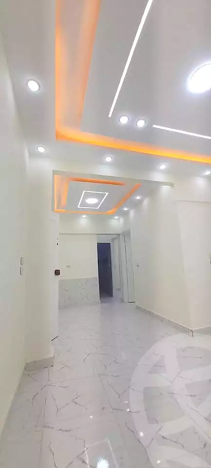 https://aqarmap.com.eg/en/listing/6872282-for-sale-alexandria-al-agamy-lbytsh-el-batal-ahmed-abd-el-aziz-belbis-st