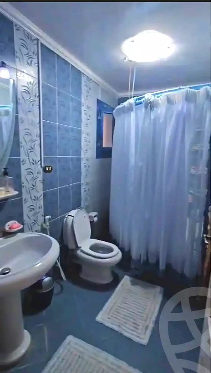 https://aqarmap.com.eg/ar/listing/6873825-for-sale-alexandria-miami