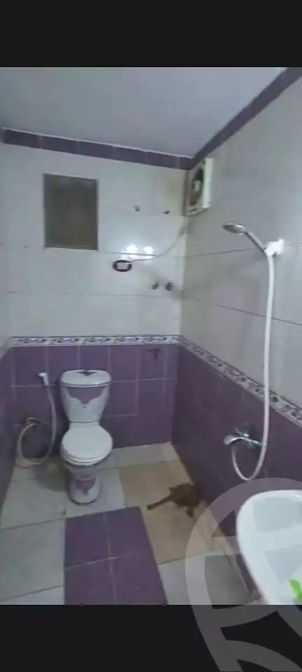 https://aqarmap.com.eg/ar/listing/6883565-for-sale-alexandria-el-dekhela