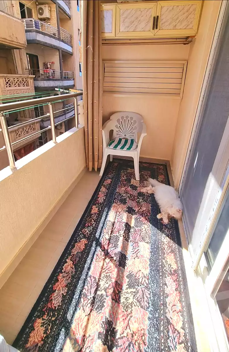 https://aqarmap.com.eg/ar/listing/6884425-for-sale-alexandria-el-saraya-el-geish-rd