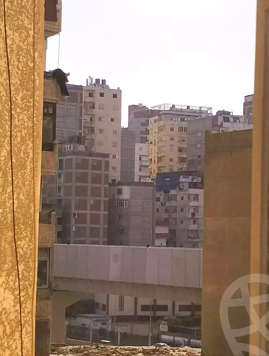 https://aqarmap.com.eg/ar/listing/6888459-for-sale-alexandria-sydy-bshr-sydy-bshr-qbly-faisal-city