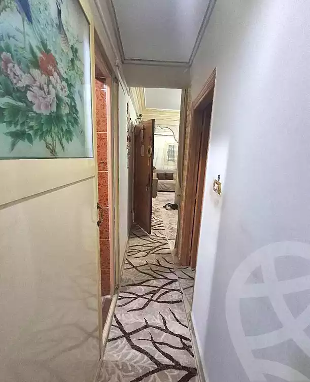 https://aqarmap.com.eg/ar/listing/6888625-for-sale-alexandria-lsywf-el-falki-street-16-el-eslah
