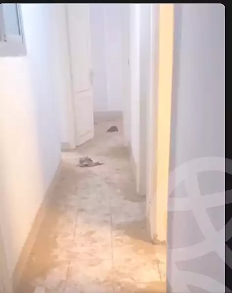 https://aqarmap.com.eg/ar/listing/6889046-for-sale-cairo-ain-shams-mnshy-lthryr