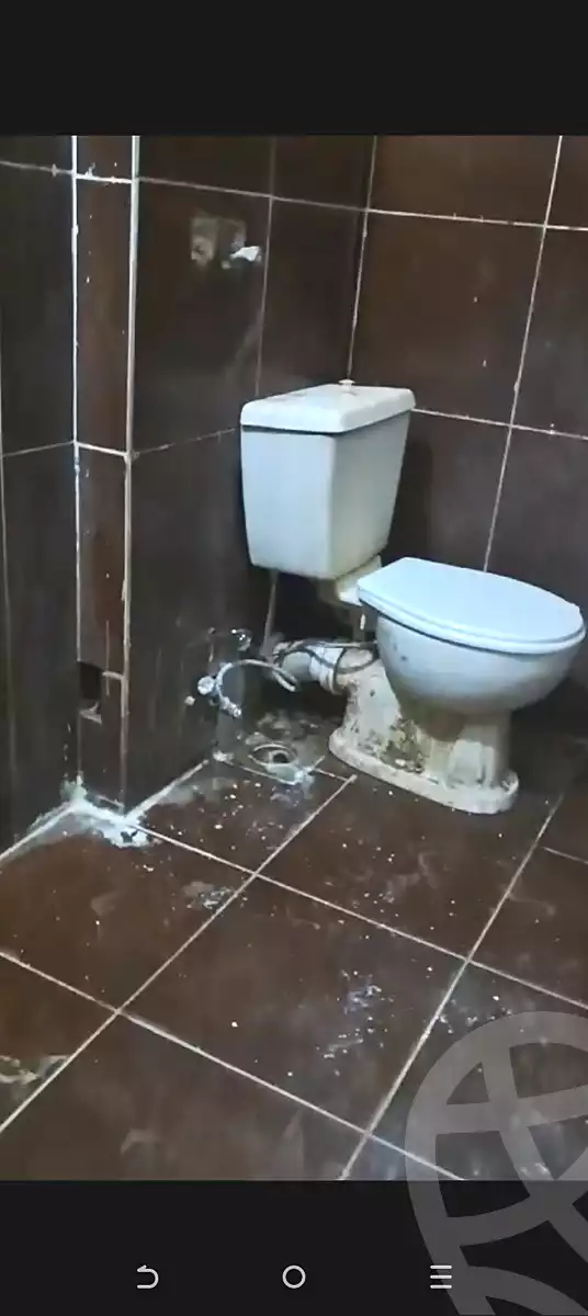 https://aqarmap.com.eg/en/listing/6890520-for-rent-alexandria-moharram-bey-aref-st