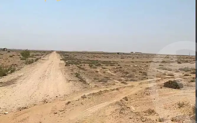 https://aqarmap.com.eg/en/listing/6891073-for-sale-beheira-wadi-el-natrun