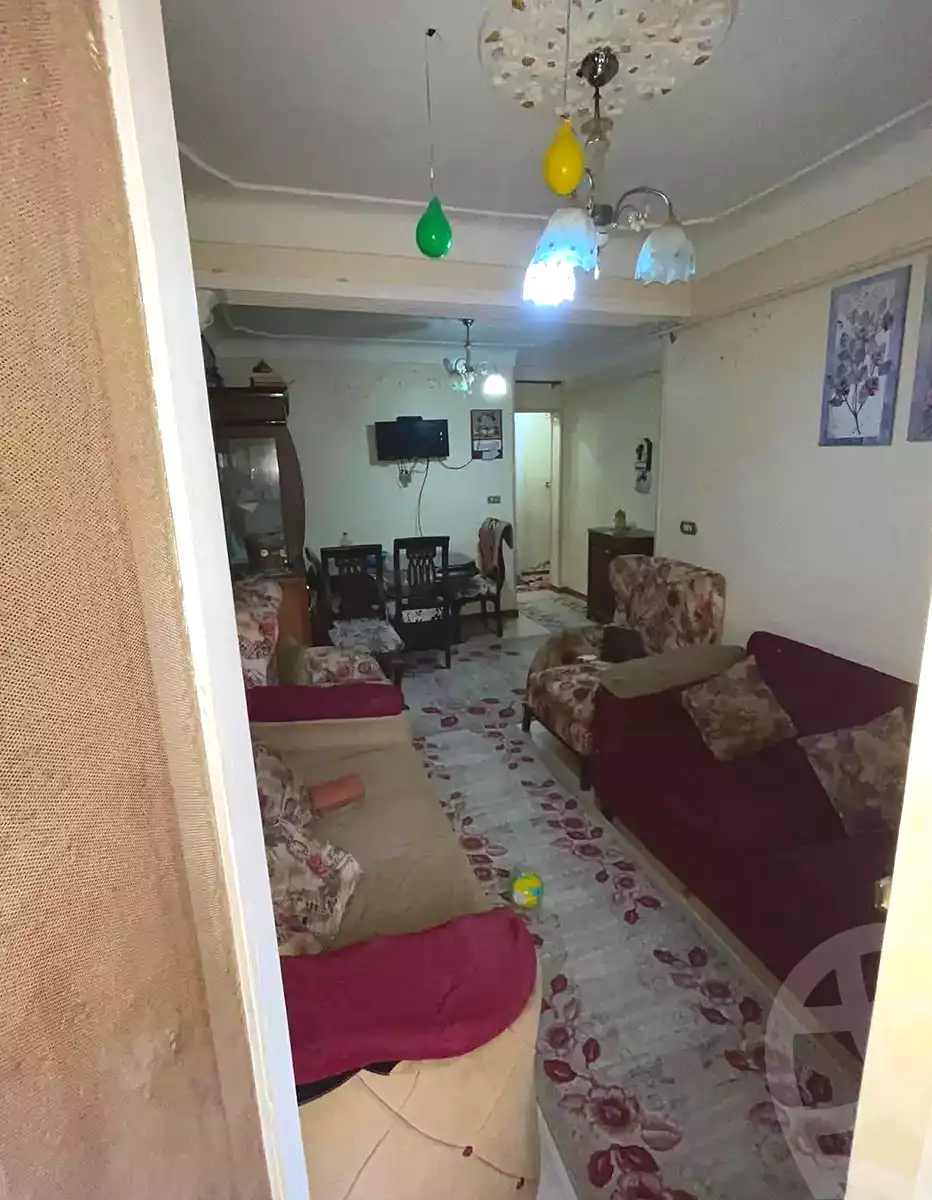 https://aqarmap.com.eg/en/listing/6891413-for-sale-alexandria-lsywf-el-falki