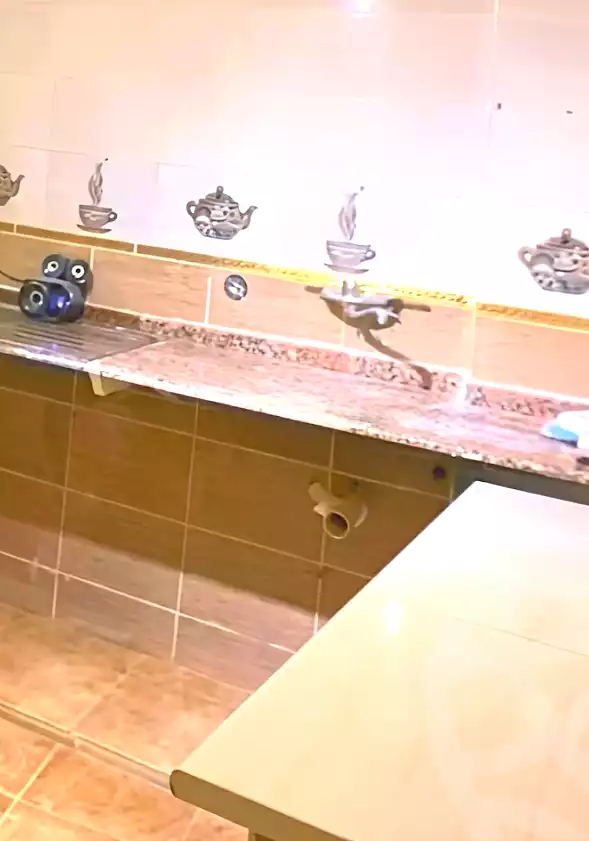 https://aqarmap.com.eg/en/listing/6865440-for-sale-alexandria-al-agamy-lbytsh-el-hanafeya-st