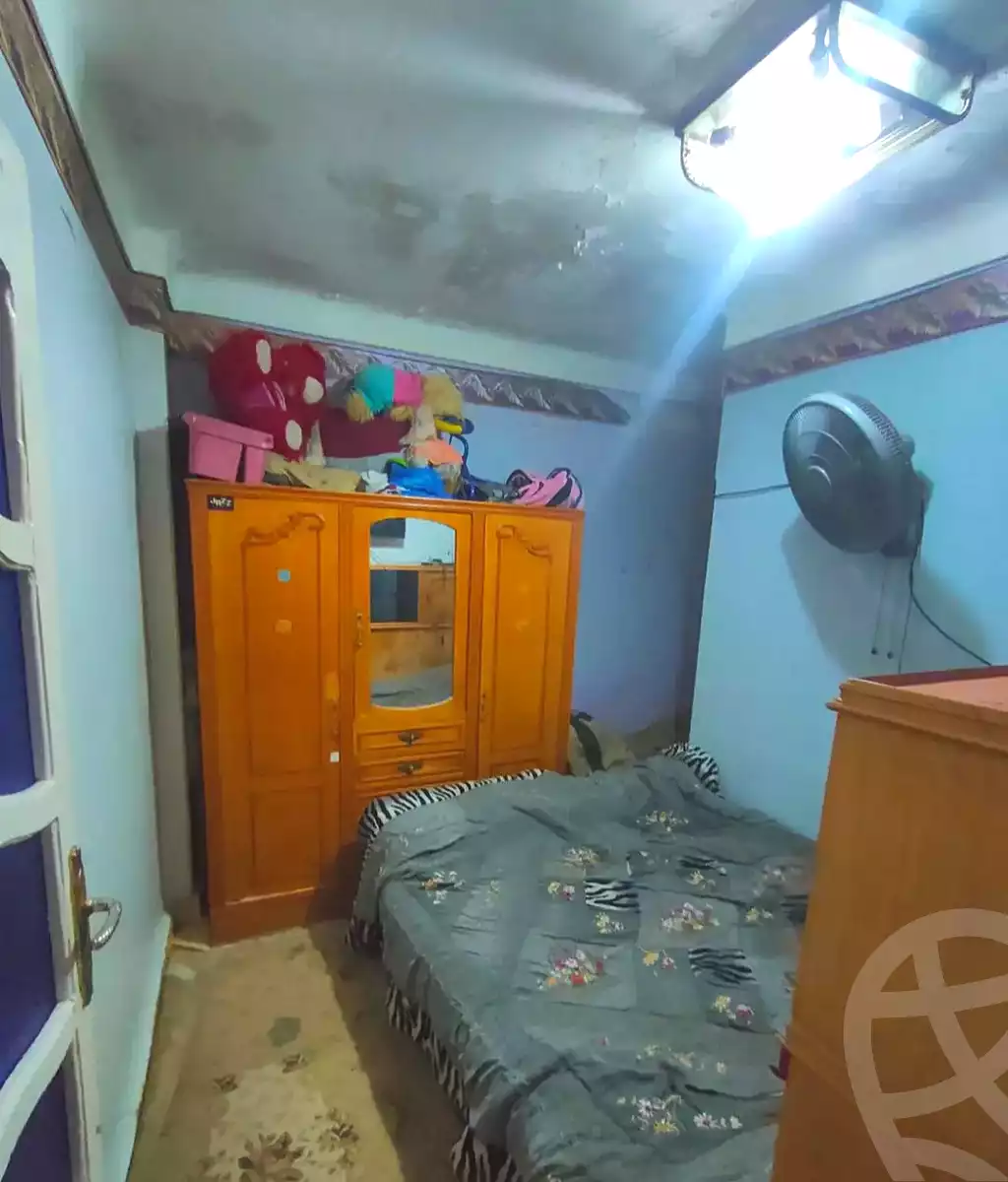 https://aqarmap.com.eg/en/listing/6905303-for-sale-alexandria-lsywf-el-falki-street-16-el-eslah