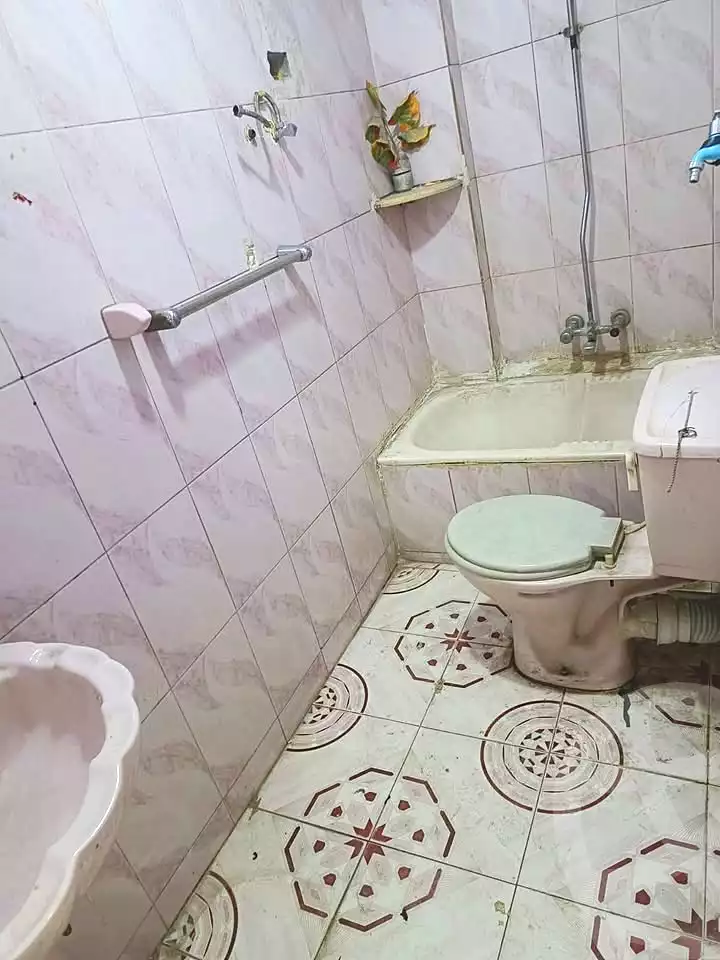 https://aqarmap.com.eg/en/listing/6909055-for-rent-alexandria-el-zaherya-mahmoudiyah-canal-st