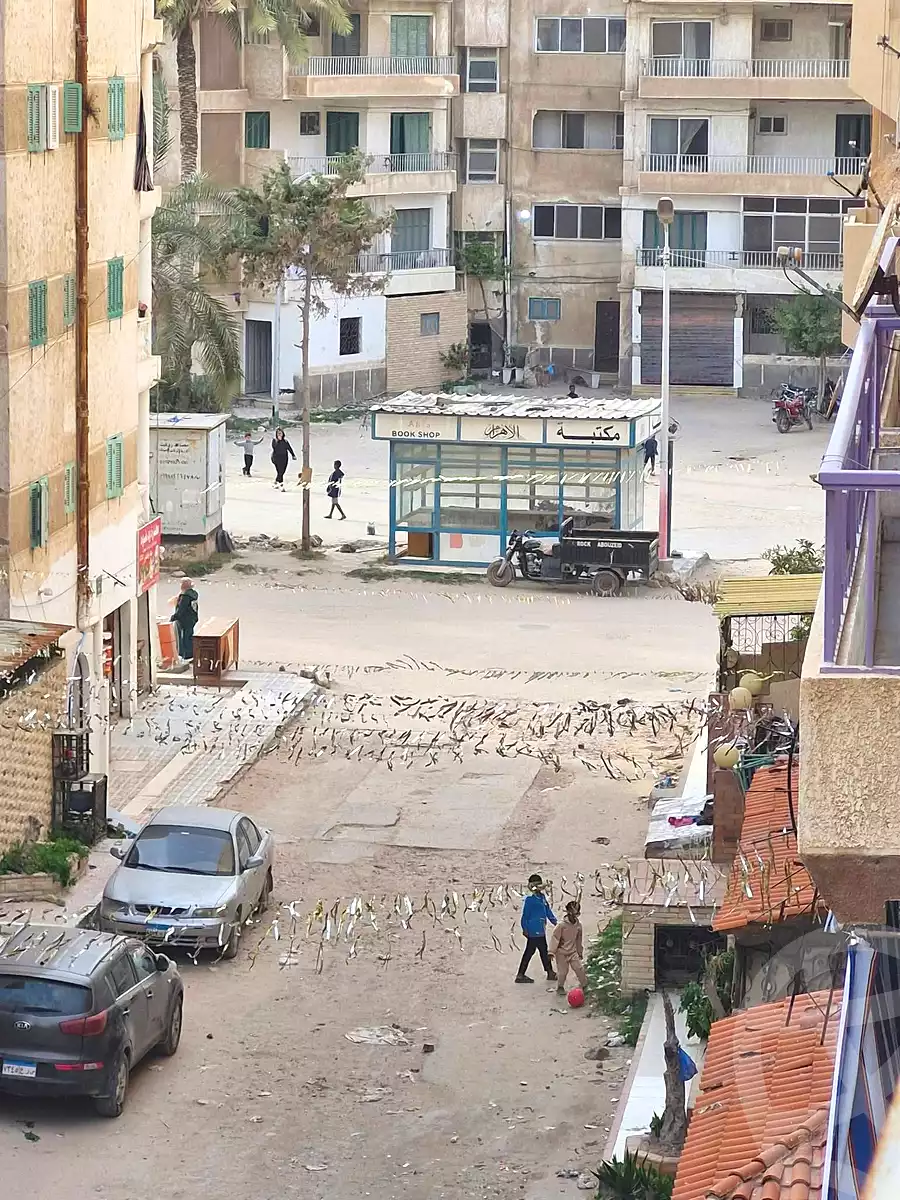 https://aqarmap.com.eg/ar/listing/6910244-for-sale-alexandria-al-agamy-shataa-el-nakheel