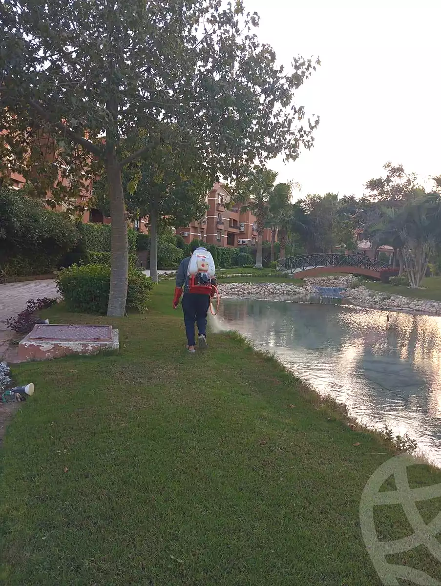 https://aqarmap.com.eg/ar/listing/6916110-for-sale-cairo-el-sheikh-zayed-city-compounds-green-3