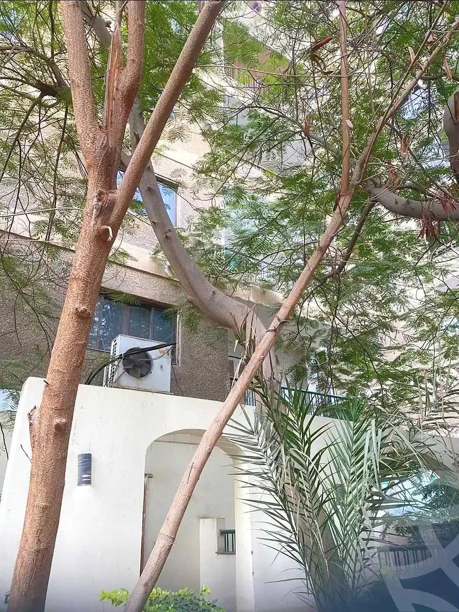 https://aqarmap.com.eg/ar/listing/6916178-for-sale-cairo-nasr-city-6th-zone