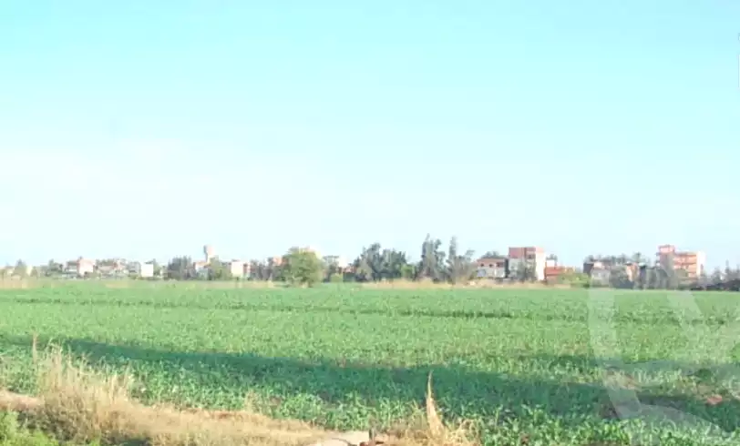 https://aqarmap.com.eg/ar/listing/6916385-for-sale-dakahlia-dekernes-kafr-abo-naser
