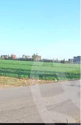 https://aqarmap.com.eg/ar/listing/6916385-for-sale-dakahlia-dekernes-kafr-abo-naser