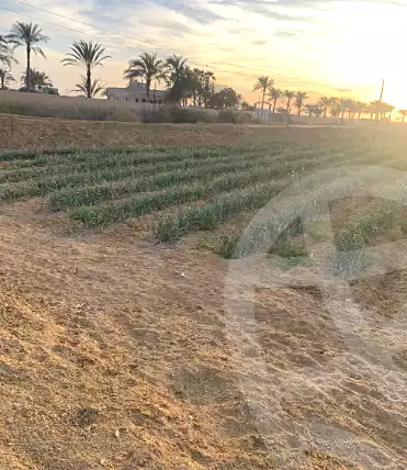 https://aqarmap.com.eg/ar/listing/6921683-for-sale-el-fayoum-tamiya-tamiyyah-city