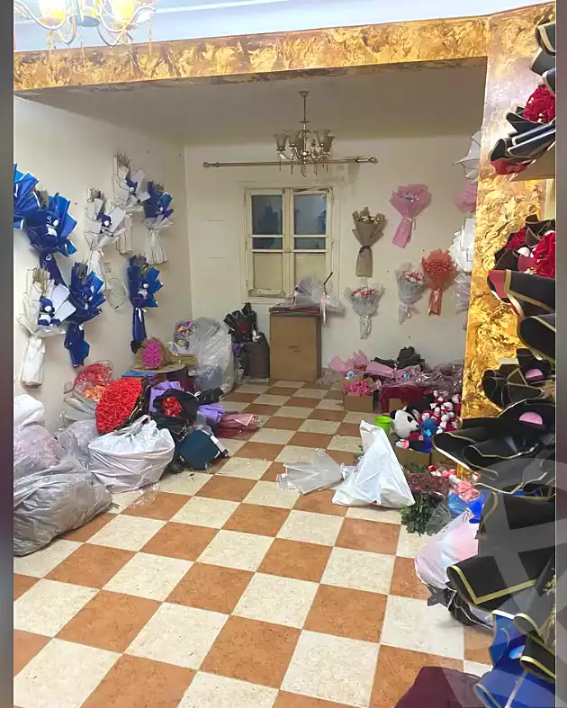 https://aqarmap.com.eg/ar/listing/6923960-for-rent-alexandria-ganaklis